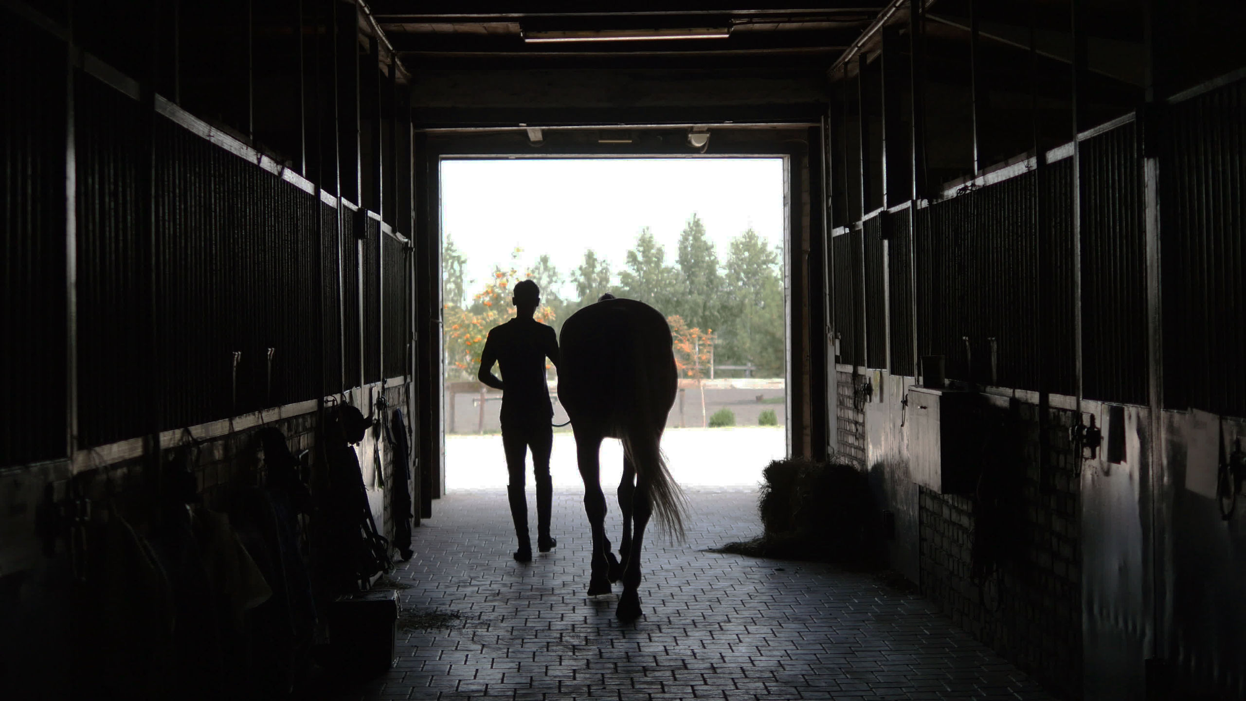 Planning Permission for Stables