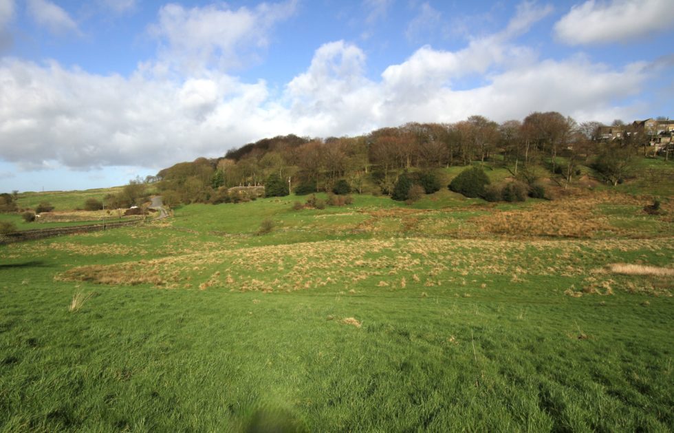 Land for sale 9.106 Hectares (22.50 Acres), Whalley Lane, Denholme
