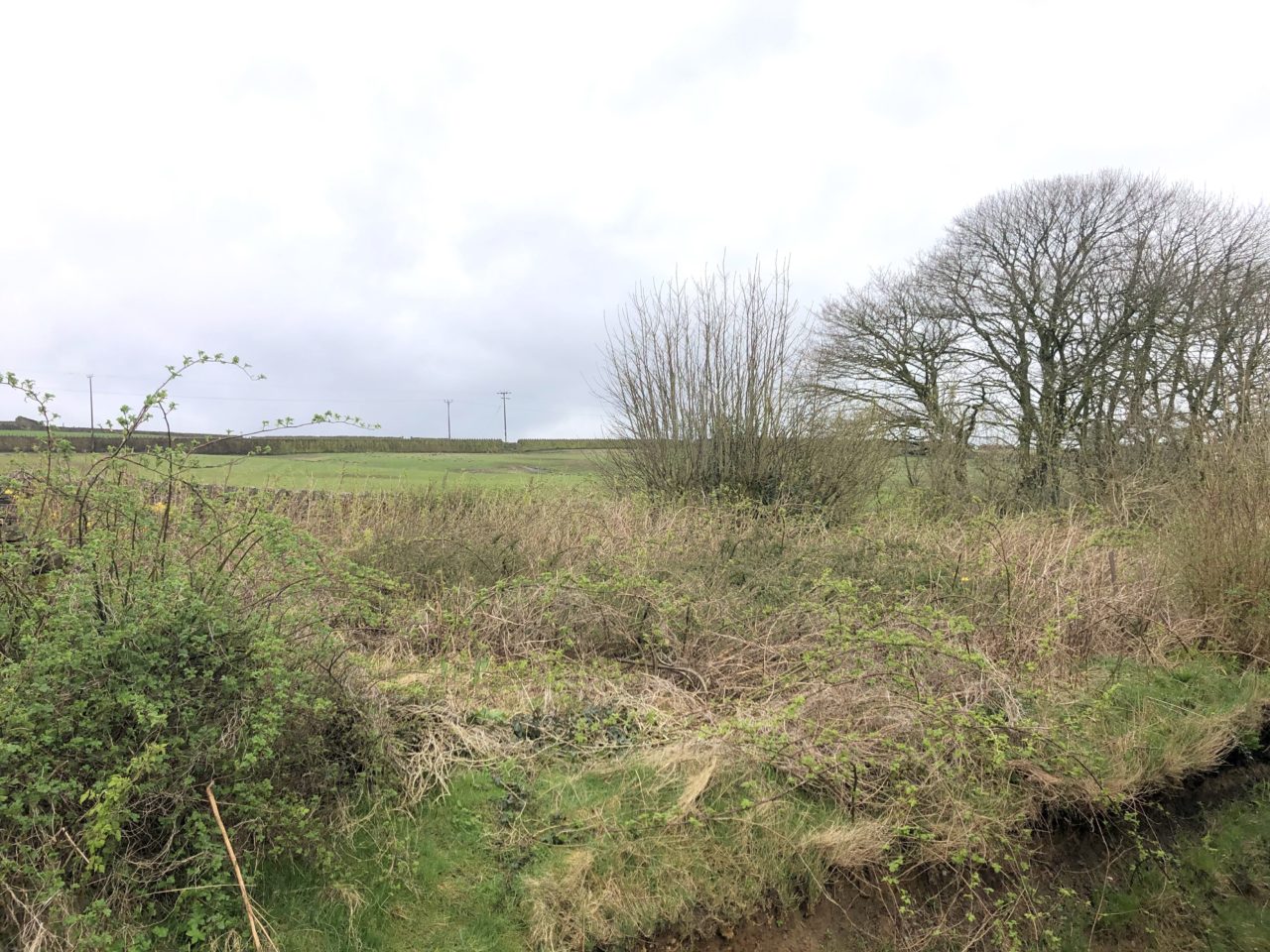 Land for Sale Land off Black Edge Lane, Denholme, BD13 4ET David Hill