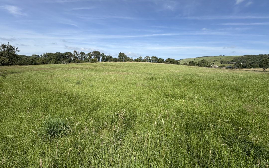 Land for Sale – 1.88 Hectares (4.64 Acres), Thornton in Craven, BD23