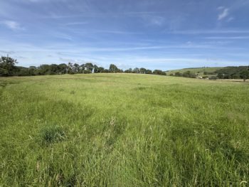 Land for Sale – 1.88 Hectares (4.64 Acres), Thornton in Craven, BD23