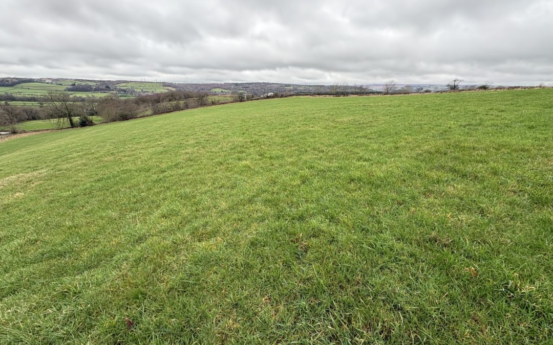 Land for Sale – 3.54 Hectares (8.75 Acres), Cross Lane, Wilsden, BD16 1UB