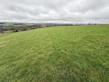Land for Sale – 3.54 Hectares (8.75 Acres), Cross Lane, Wilsden, BD16 1UB