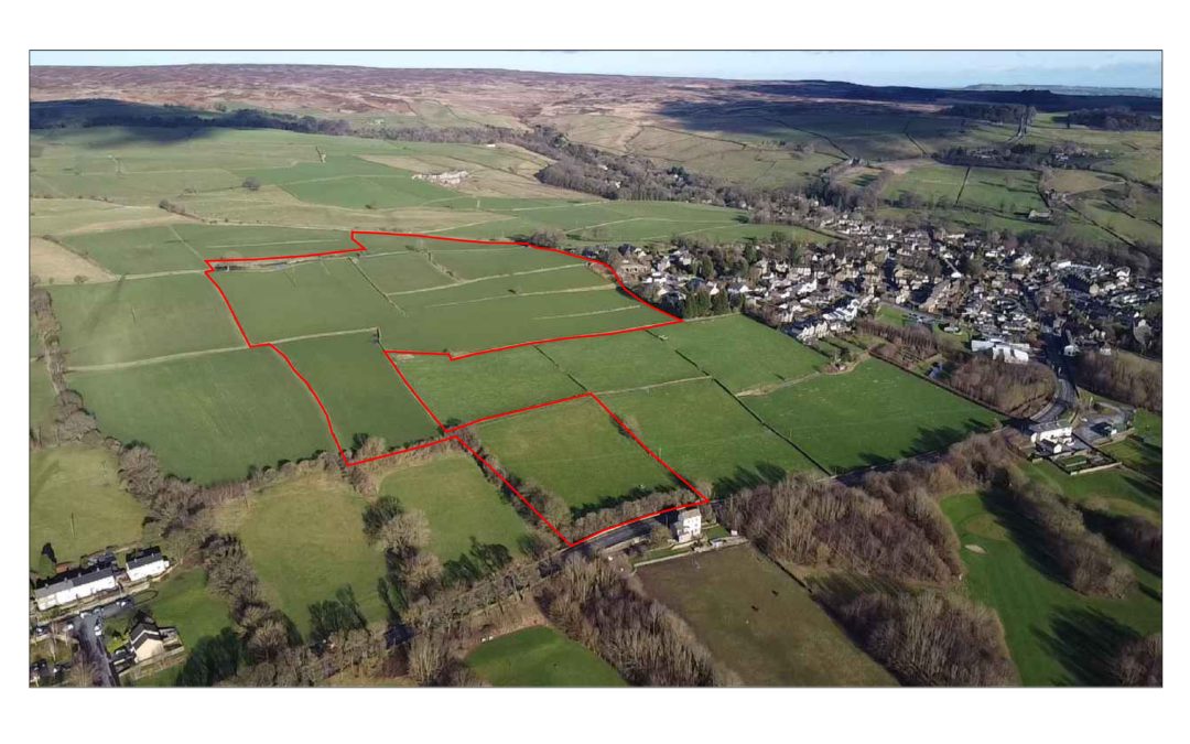 Land for Sale and Rent David Hill Estate Agents